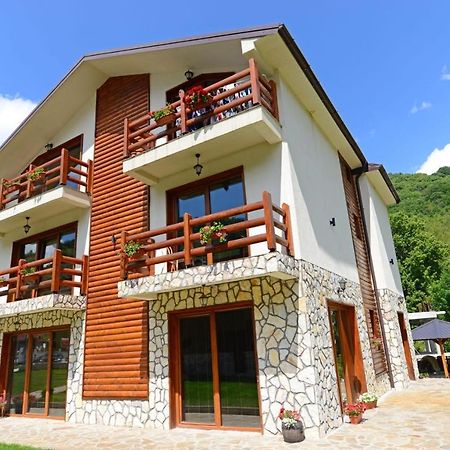 Villa 'Iva' Mavrovo Luaran gambar